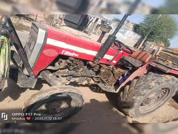 Tafe (Massey) Massey Ferguson 241 DI MAHA SHAKTI