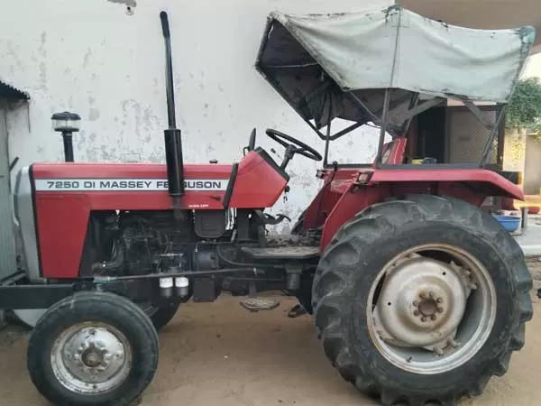 Tafe (Massey) Massey Ferguson 7250 Power