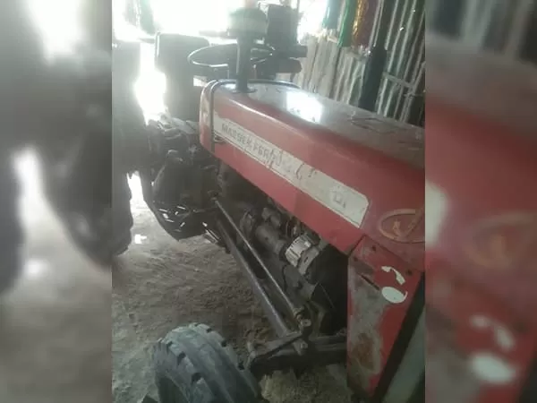 Tafe (Massey) Massey Ferguson 241 DI PLANETARY PLUS