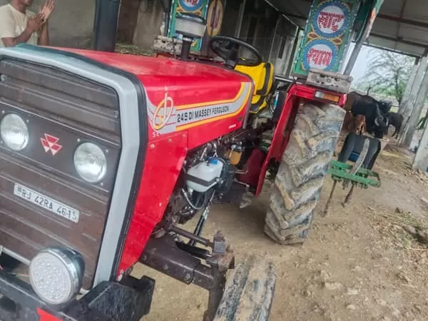 Tafe (Massey) Massey Ferguson 245 DI