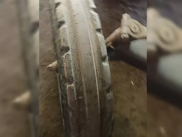 Tafe (Massey) Massey Ferguson 241 DI MAHA SHAKTI