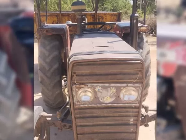 Tafe (Massey) Massey Ferguson 241 DI