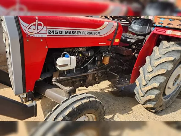Tafe (Massey) Massey Ferguson 245 DI