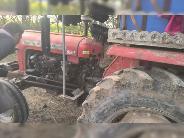 Tafe (Massey) Massey Ferguson 1035 DI