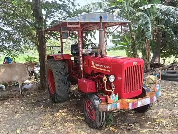 Mahindra Mahindra 575 DI