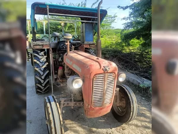 Tafe (Massey) Massey Ferguson 1035 DI