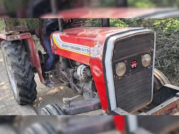 Tafe (Massey) Massey Ferguson 241 DI MAHA SHAKTI
