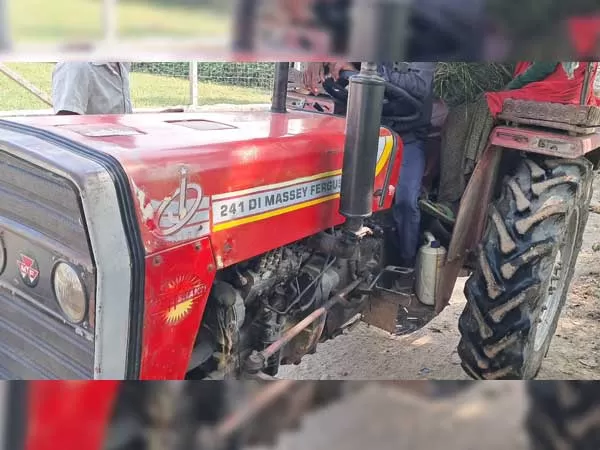 Tafe (Massey) Massey Ferguson 241 DI MAHA SHAKTI