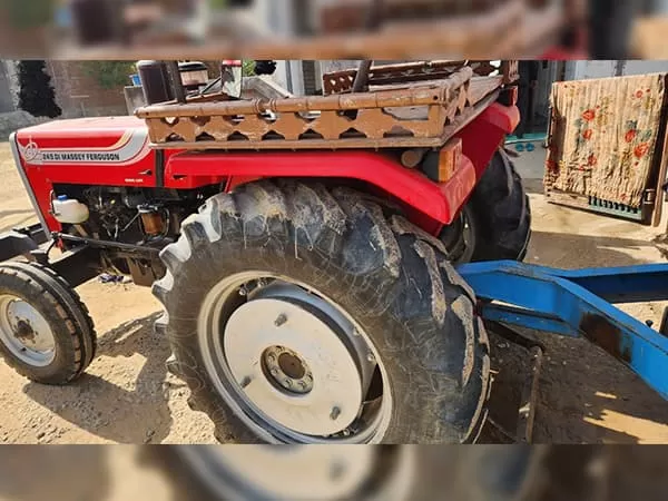 Tafe (Massey) Massey Ferguson 245 DI
