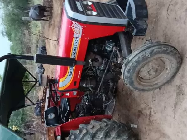 Tafe (Massey) Massey Ferguson 245 DI