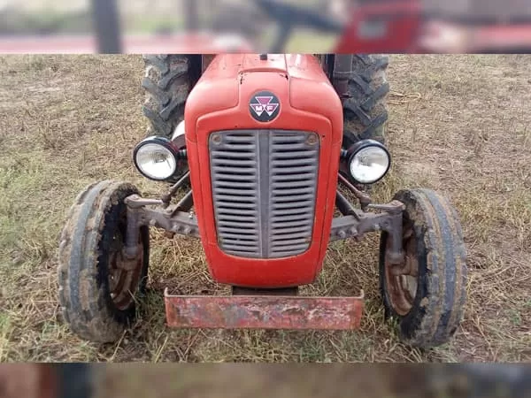 Tafe (Massey) Massey Ferguson 1035 DI