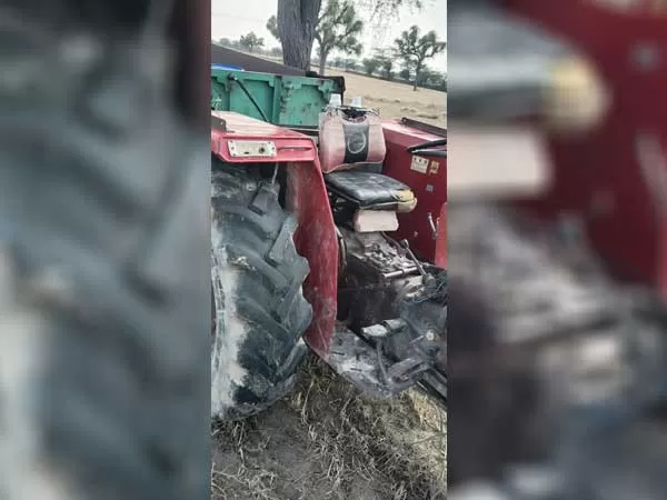 Tafe (Massey) Massey Ferguson 241 DI MAHA SHAKTI