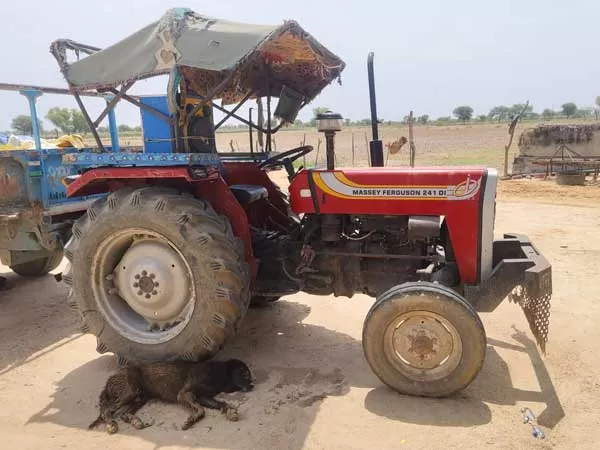Massey Ferguson 241 DI