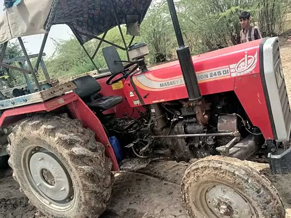 Tafe (Massey) Massey Ferguson 245 DI