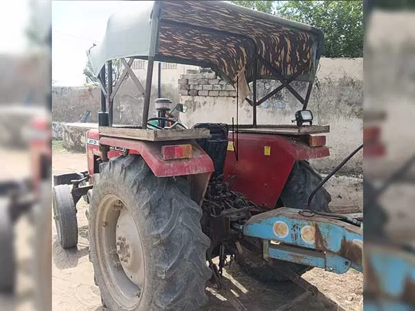 Tafe (Massey) Massey Ferguson 241 DI MAHA SHAKTI