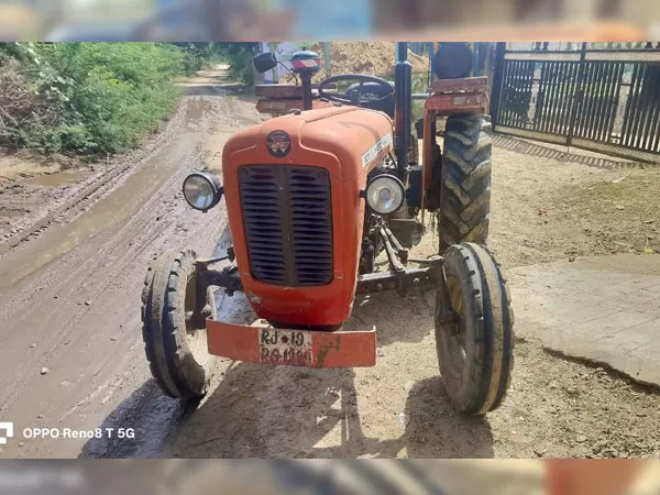 Tafe (Massey) Massey Ferguson 1035 DI