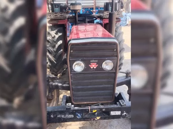 Tafe (Massey) Massey Ferguson 241 DI MAHA SHAKTI