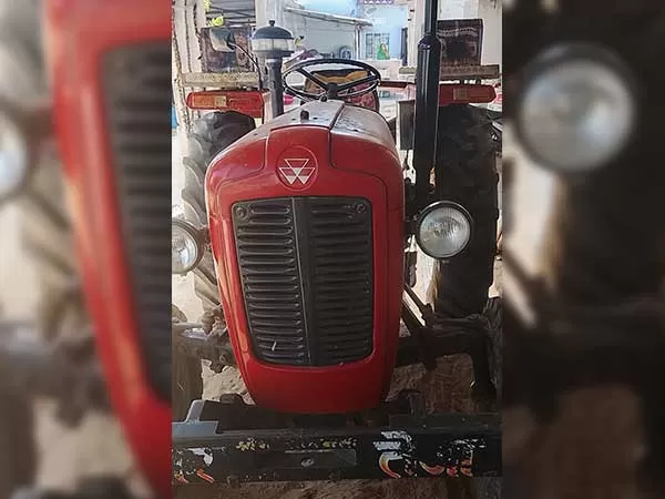 Tafe (Massey) Massey Ferguson 1035 DI