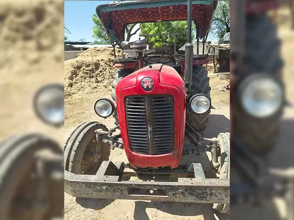 Tafe (Massey) Massey Ferguson 1035 DI
