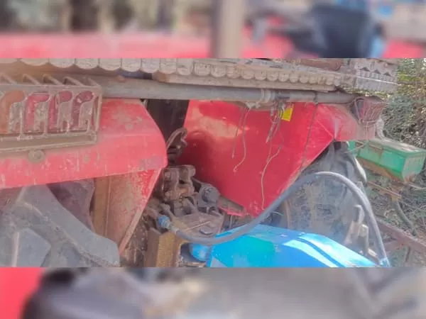 Tafe (Massey) Massey Ferguson 241 DI MAHA SHAKTI