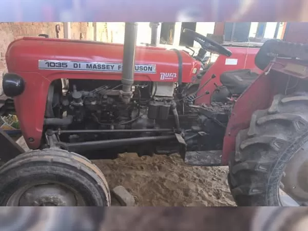 Tafe (Massey) Massey Ferguson 1035 DI