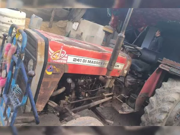 Tafe (Massey) Massey Ferguson 241 DI