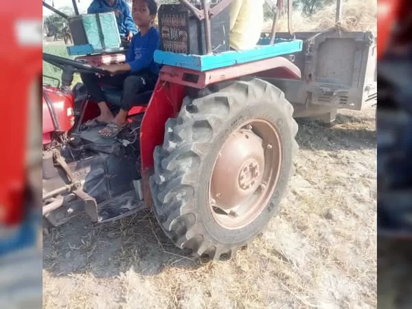 Tafe (Massey) Massey Ferguson 1035 DI