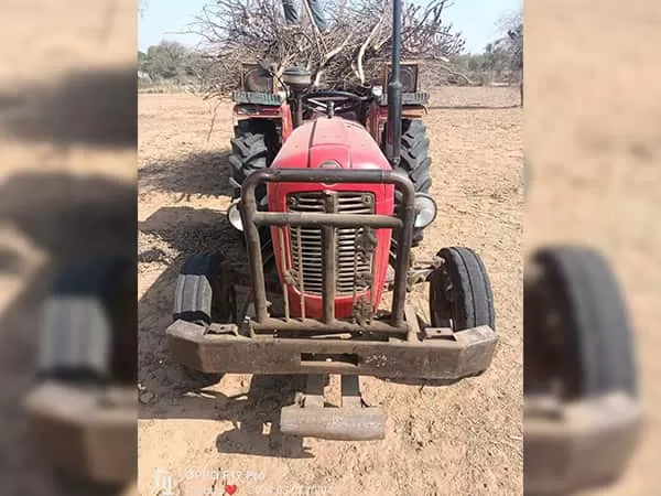 Tafe (Massey) Massey Ferguson 1035 DI