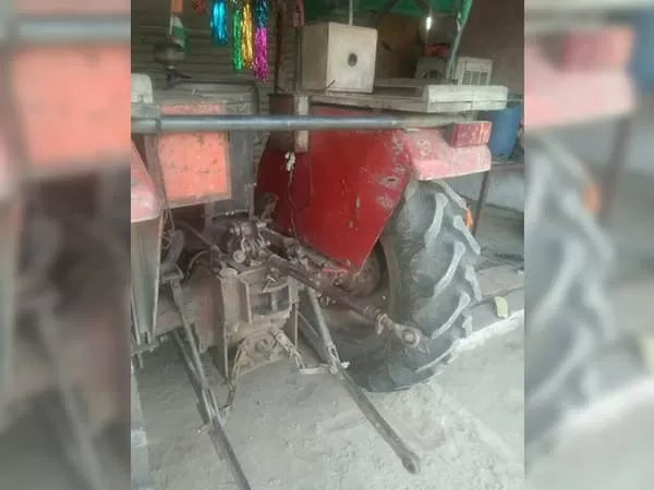 Tafe (Massey) Massey Ferguson 241 DI PLANETARY PLUS