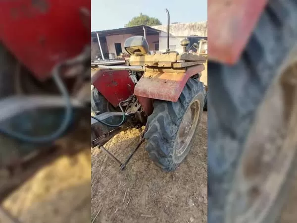 Tafe (Massey) Massey Ferguson 241 DI