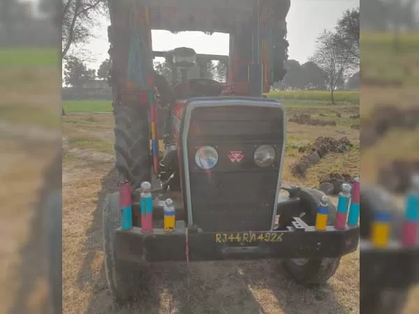 Tafe (Massey) Massey Ferguson 241 DI
