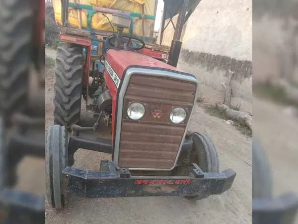 Tafe (Massey) Massey Ferguson 244 DI
