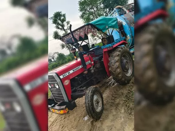 Tafe (Massey) Massey Ferguson 241 DI MAHA SHAKTI