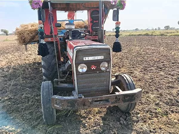 Tafe (Massey) Massey Ferguson 241 DI MAHA SHAKTI
