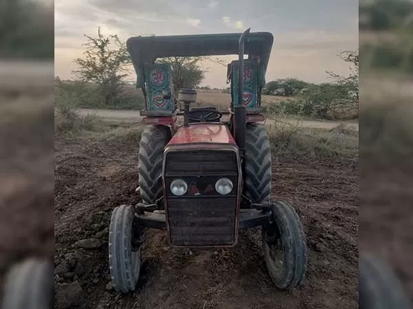 Tafe (Massey) Massey Ferguson 241 DI MAHA SHAKTI