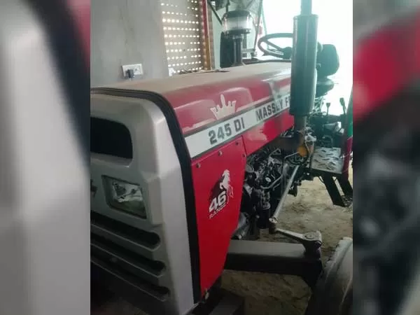 Tafe (Massey) Massey Ferguson 245 DI