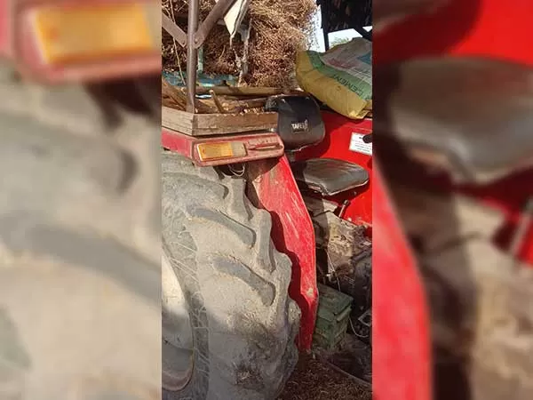 Tafe (Massey) Massey Ferguson 241 DI MAHA SHAKTI