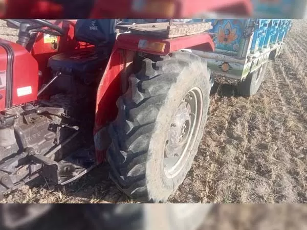 Tafe (Massey) Massey Ferguson 241 DI MAHA SHAKTI