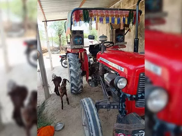 Tafe (Massey) Massey Ferguson 1035 DI