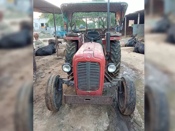 Tafe (Massey) Massey Ferguson 1035 DI