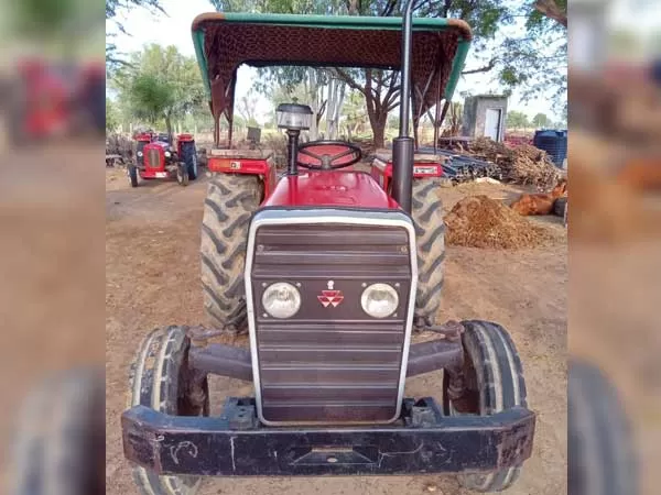 Tafe (Massey) Massey Ferguson 241 DI MAHA SHAKTI