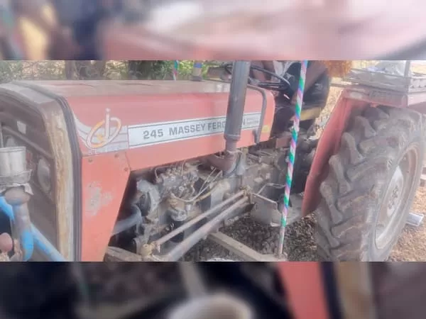 Tafe (Massey) Massey Ferguson 245 DI
