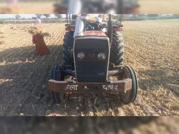 Tafe (Massey) Massey Ferguson 241 DI MAHA SHAKTI