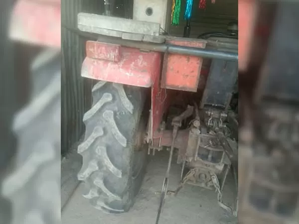 Tafe (Massey) Massey Ferguson 241 DI PLANETARY PLUS