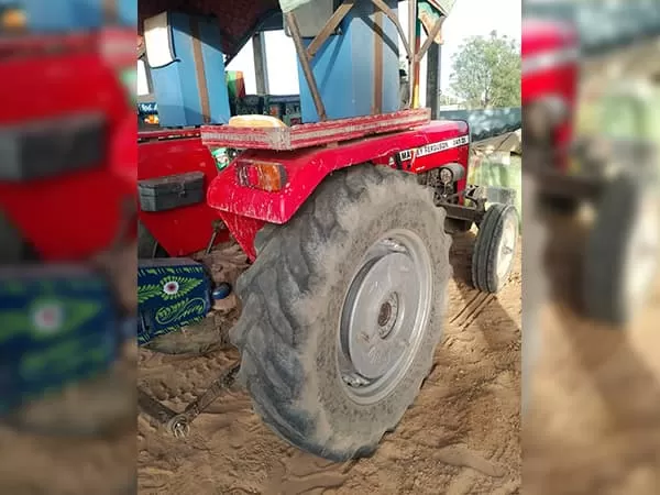 Tafe (Massey) Massey Ferguson 241 DI MAHA SHAKTI