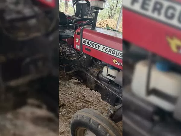 Tafe (Massey) Massey Ferguson 1035 DI MAHA SHAKTI