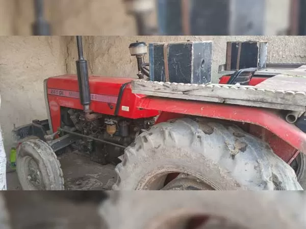 Tafe (Massey) Massey Ferguson 241 DI