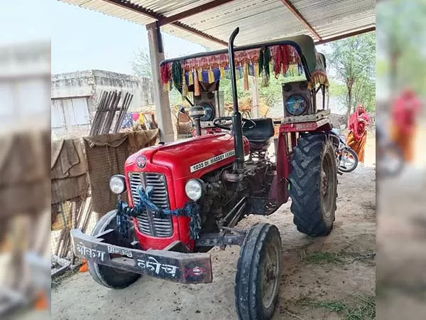 Tafe (Massey) Massey Ferguson 1035 DI