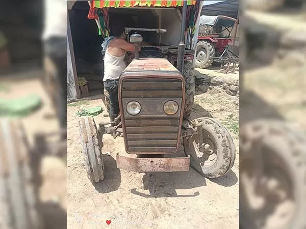 Tafe (Massey) Massey Ferguson 1035 DI