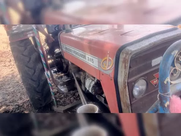 Tafe (Massey) Massey Ferguson 245 DI